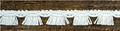 Tassel Fringe Trim - 18 Continuous Yards - Many Colors Available!