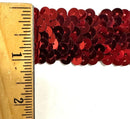 3 ROW (1") STRETCH SEQUIN TRIM - 10 Continuous Yards - Many Colors Available